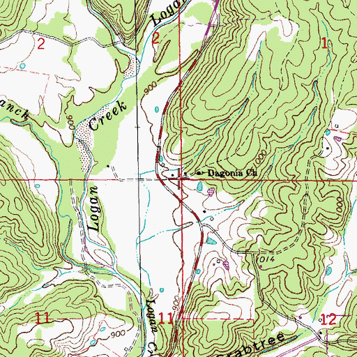 Topographic Map of Dagonia, MO