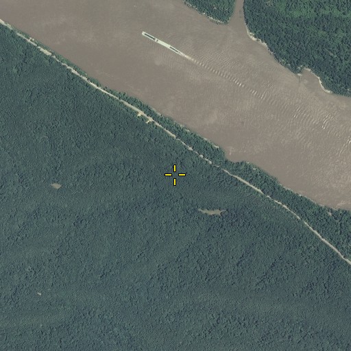 Aerial/Satellite Image of Backbone, MO