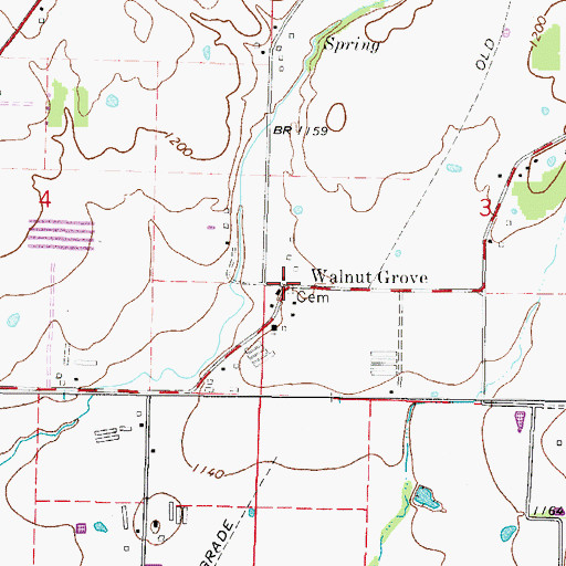 Topographic Map of Walnut Grove, AR