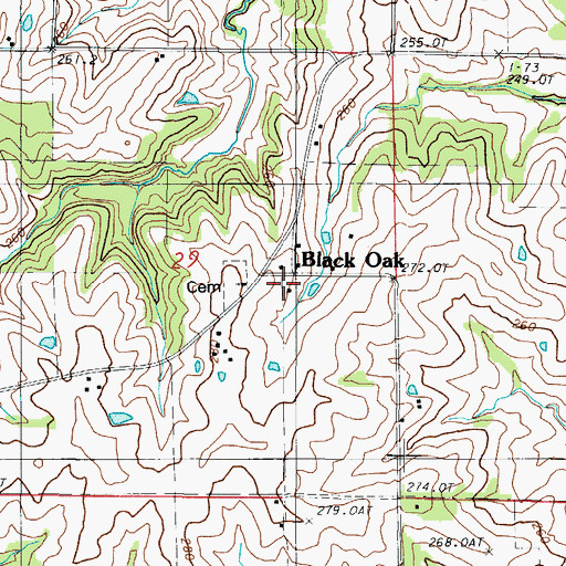 Topographic Map of Black Oak, MO