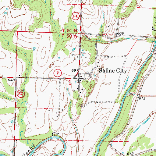 Topographic Map of Saline City, MO