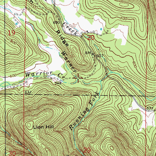 Topographic Map of Warrior Creek, AR