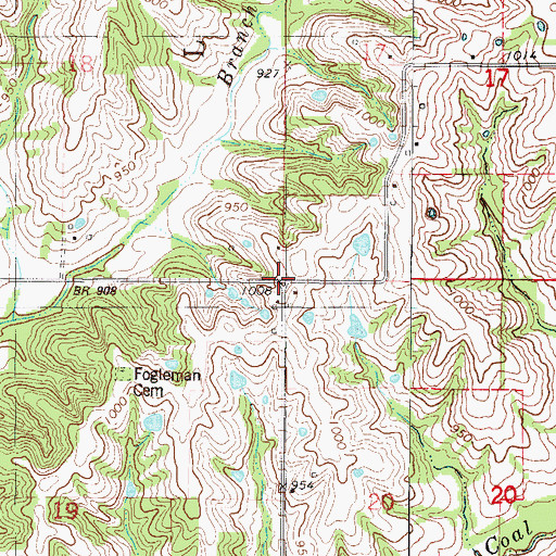 Topographic Map of Burrows, MO