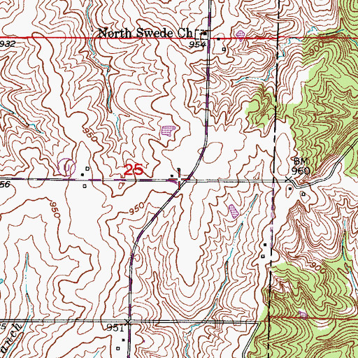 Topographic Map of Benson, MO