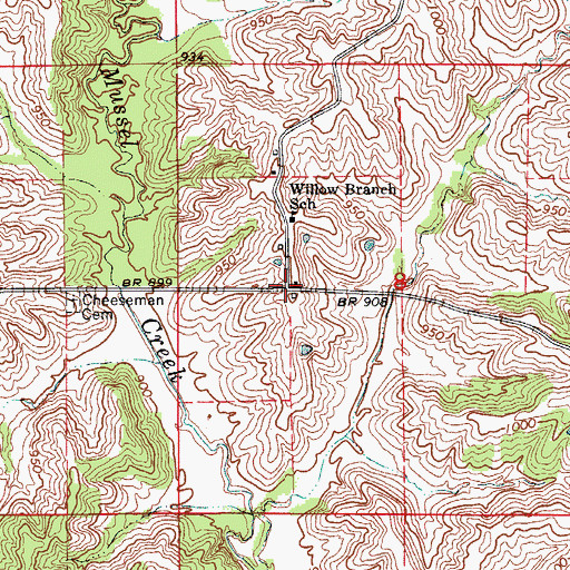 Topographic Map of Loeffler, MO