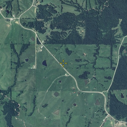 Aerial/Satellite Image of Mines, MO
