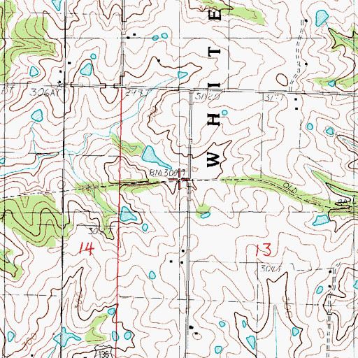 Topographic Map of Bowman (historical), MO