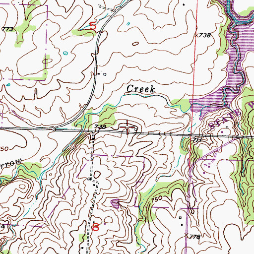 Topographic Map of Hortense, MO