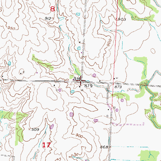 Topographic Map of Skaggs, MO