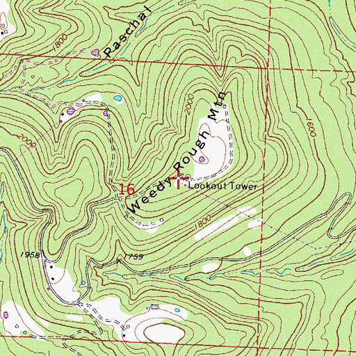 Topographic Map of Weedy Rough Mountain, AR