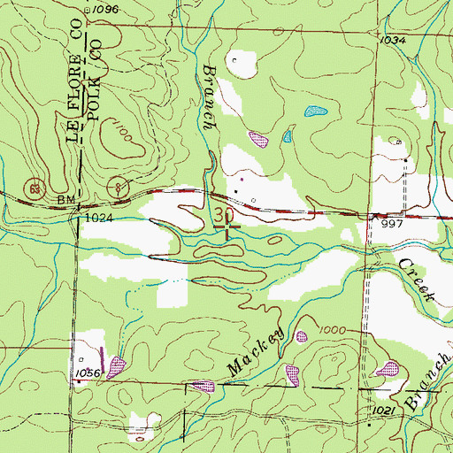 Topographic Map of Weehunt Branch, AR