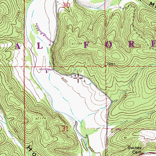 Topographic Map of Gila, MO