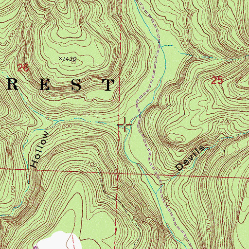 Topographic Map of Wells Hollow, AR