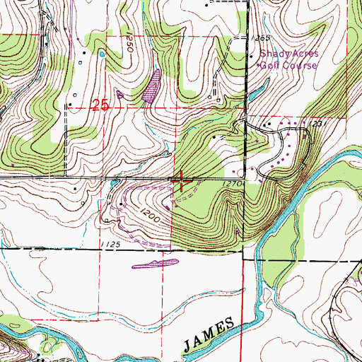 Topographic Map of Riverpark, MO