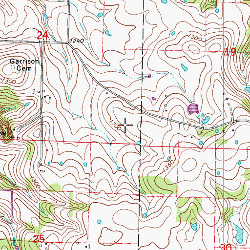 Topographic Map of Hedges Spur, MO