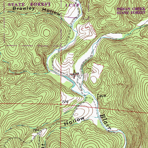 Topographic Map of Gang, MO