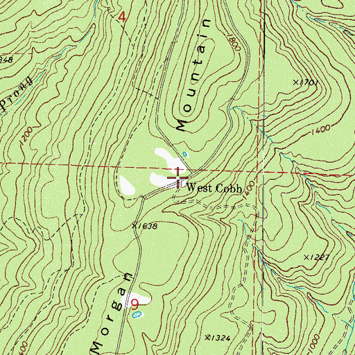 Topographic Map of West Cobb, AR
