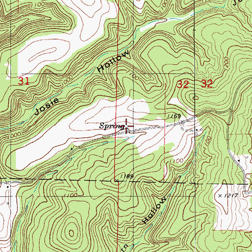 Topographic Map of Idumea (historical), MO