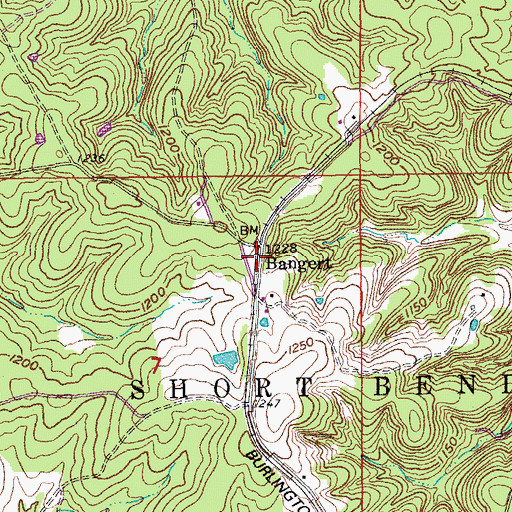 Topographic Map of Bangert, MO