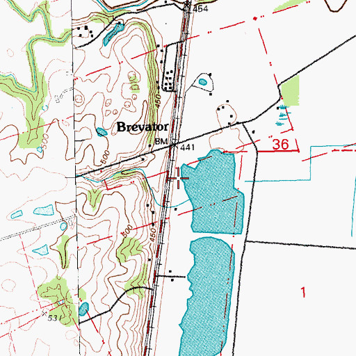 Topographic Map of Brevator, MO