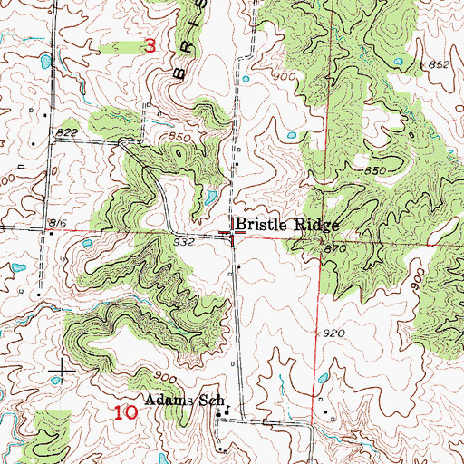 Topographic Map of Bristle Ridge, MO