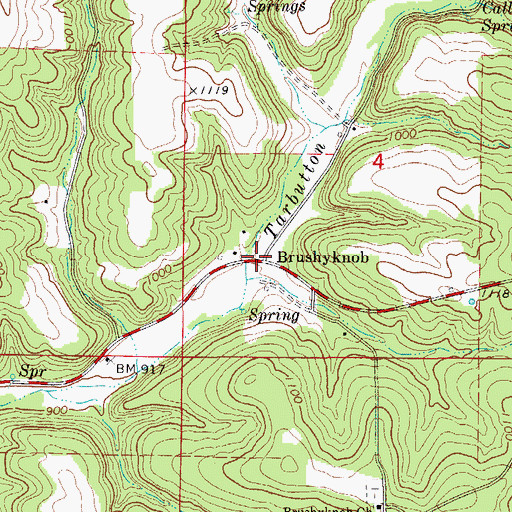 Topographic Map of Brushyknob, MO