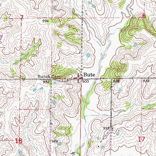 Topographic Map of Bute, MO