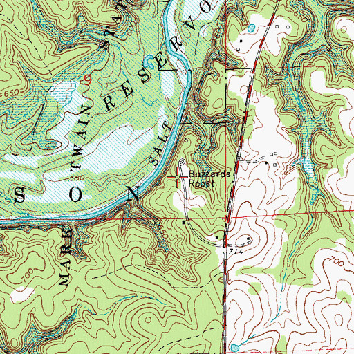 Topographic Map of Buzzards Roost, MO