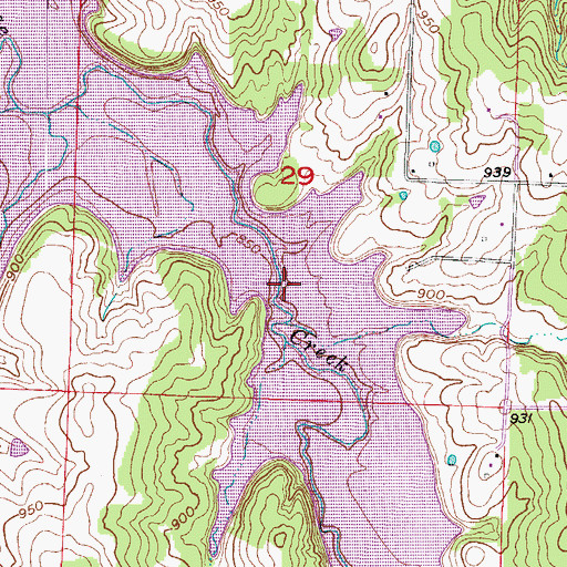 Topographic Map of Carns Ford, MO