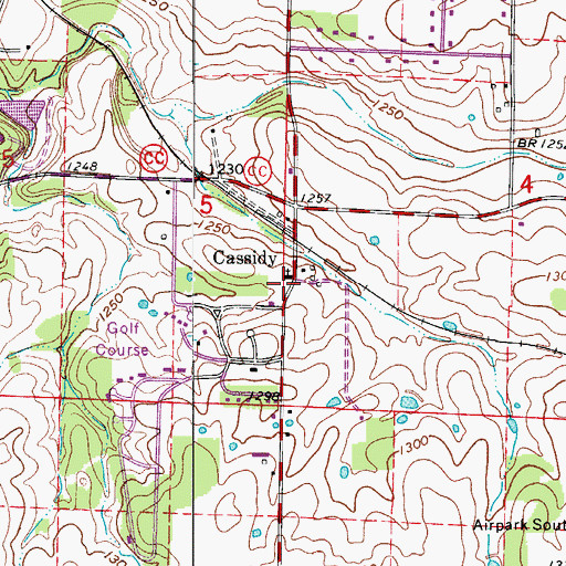 Topographic Map of Cassidy, MO