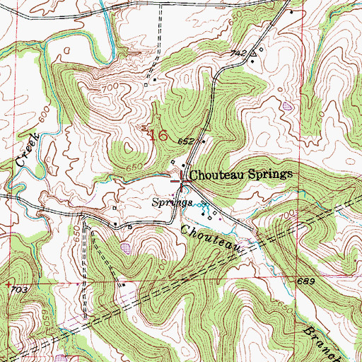 Topographic Map of Chouteau Springs, MO