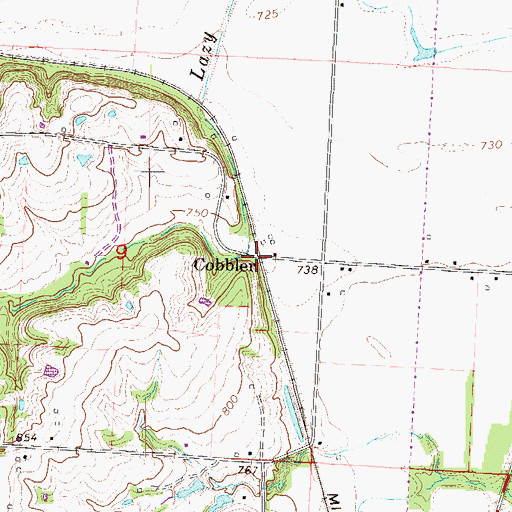 Topographic Map of Cobbler, MO