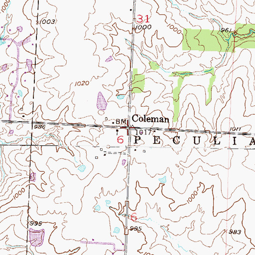 Topographic Map of Coleman, MO