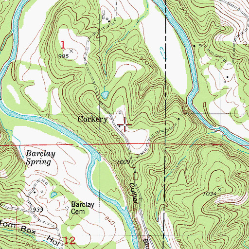 Topographic Map of Corkery, MO