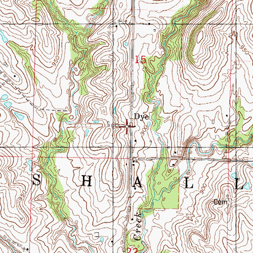 Topographic Map of Dye, MO