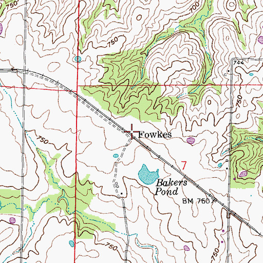 Topographic Map of Fowkes, MO