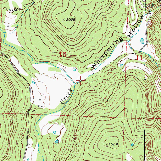 Topographic Map of Whispering Hollow, AR