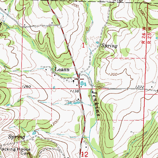 Topographic Map of Leann, MO