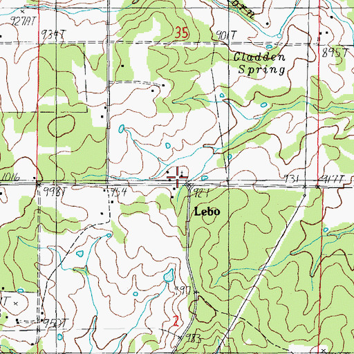 Topographic Map of Lebo, MO