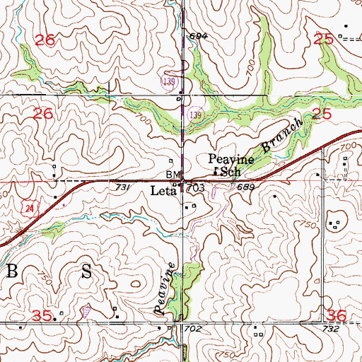 Topographic Map of Leta, MO