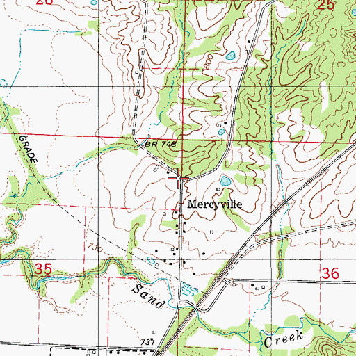 Topographic Map of Mercyville, MO