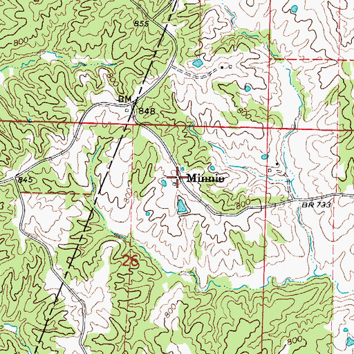 Topographic Map of Minnie, MO
