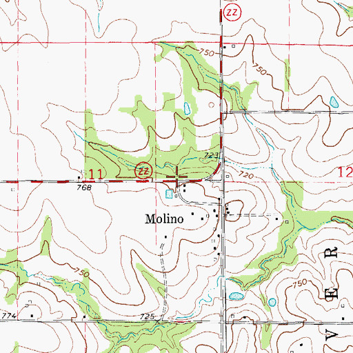 Topographic Map of Molino, MO
