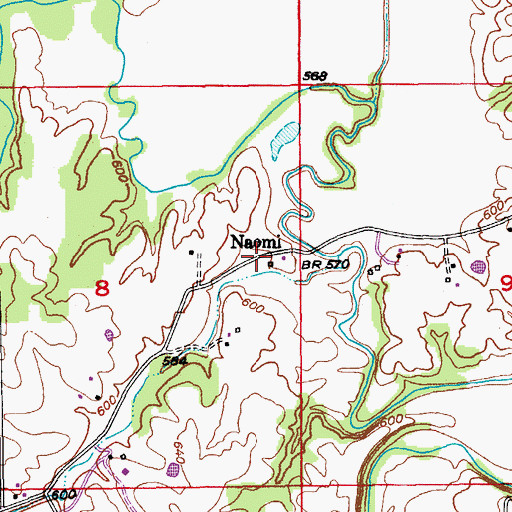 Topographic Map of Naomi, MO