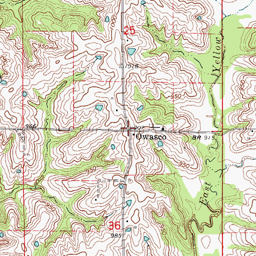 Topographic Map of Owasco, MO