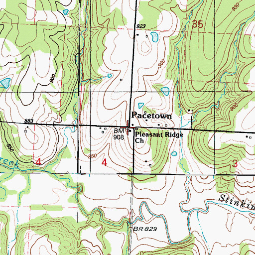 Topographic Map of Pacetown, MO