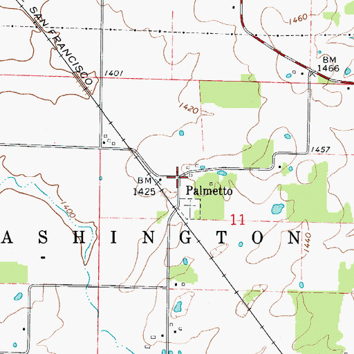 Topographic Map of Palmetto, MO