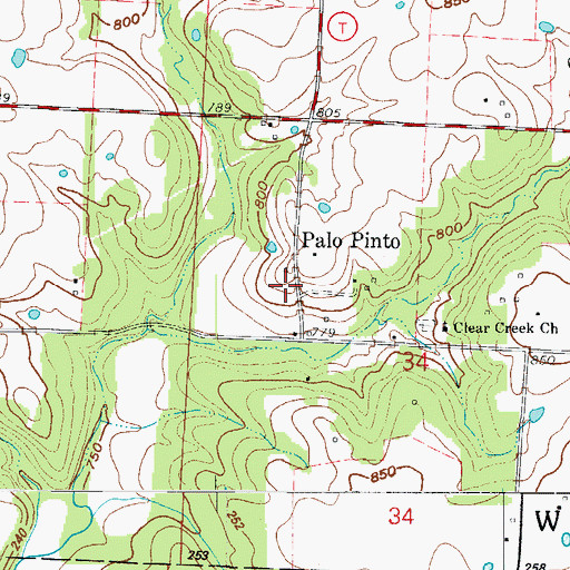 Topographic Map of Palo Pinto, MO