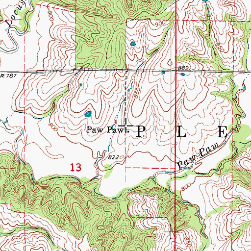 Topographic Map of Paw Paw, MO