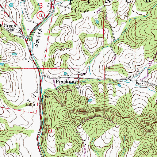Topographic Map of Pinckney, MO
